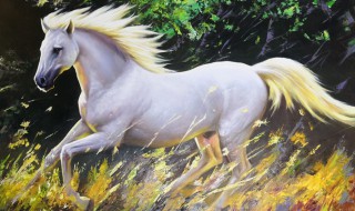 白龙马的性格特点（白龙马的性格特点及事例）