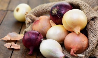 洋葱的英语怎么读 英语怎么读才能背下来