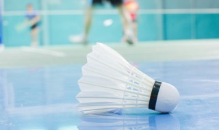 羽毛球英文怎么读（羽毛球英文怎么读语音）