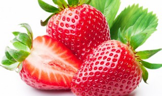 冬季草莓的种植方法（冬季草莓的种植方法和技术室内）