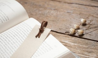 天下乌鸦一般黑下一句 天下乌鸦一般黑下一句怎么接