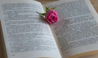 销售团队队名队呼（销售团队队名队呼队歌）