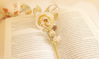 古代美女名字霸气四字（古代美女名字霸气四字网名）