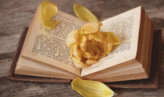 听过最惊艳的女孩名字 听过最惊艳的女孩名字四字