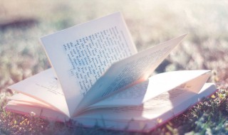 有古诗韵味的女孩名字（一听就很干净的名字女）