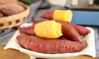 地瓜怎么水培养殖方法 地瓜怎么水培发芽快