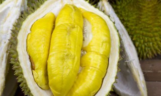 榴莲种小盆景会结果吗 榴莲盆景能结果吗