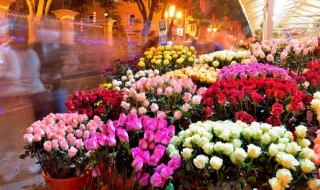 送亲人送什么花 亲姐姐过生日送什么花