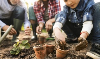 墨兰叶片有黑斑如何进行解决 墨兰叶片出现黑斑咋治