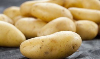 土豆块茎繁殖与种植方法 土豆块茎怎么种
