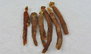 如何挑选红参品质好（如何挑选红参品质好的）