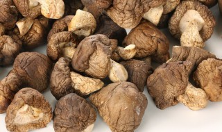 如何挑选三七的好坏（如何挑选三七的好坏图片）