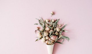 鲜花怎么做干花不褪色（鲜花怎么制作干花不变色）