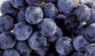 葡萄为何会落花落果是熟透了吗 葡萄为何会落花落果是熟透了吗还是不良的个体