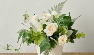 如何插花(如何插花好看)