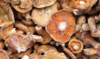 谷熟菌和铜绿菌区别 谷熟菌和铜绿菌区别在哪