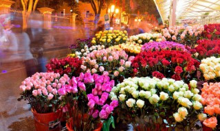 月季花凋谢后有个果子是什么（月季花凋谢后有个果子是什么原因）