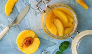 黄桃种子怎么种发芽 黄桃种子怎么种发芽快