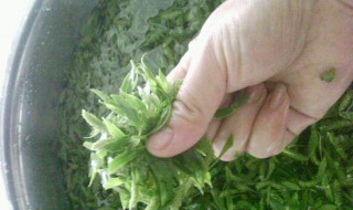 柳叶怎么吃好吃(柳叶怎么吃才好)