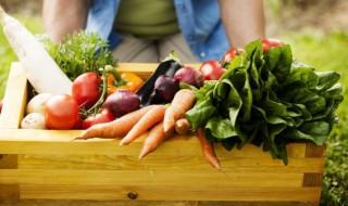 青菜的种类有哪些（青菜有什么种类名称?）