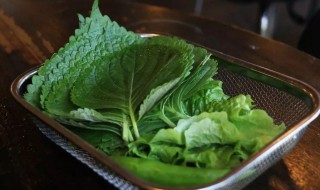 苏子叶的各种吃法（苏子叶的各种吃法大全）