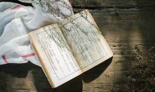 则字怎么组词（迟的组词）