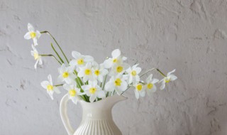 鲜花水里放什么可以延长花期 鲜花的10种保鲜方法