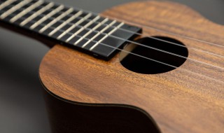 吉他英语怎么读 吉他英语怎么读guitar