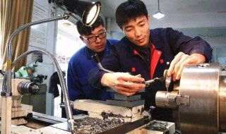 零基础学什么技术好（成人计算机速成培训班）