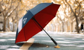 梦见雨伞丢了的吉凶（梦到雨伞丢了什么预兆）