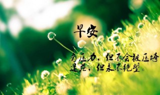 人生最具正能量的句子 人生正能量的经典句子