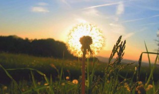 考到研究生发的朋友圈 考取研究生发朋友圈怎写