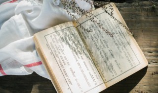 写妈妈的作文（写妈妈的作文500字）