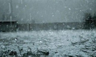 为什么雨声让人感觉很宁静(为什么雨声让人感觉很宁静)