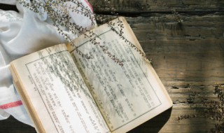 杨红樱的作品有哪些（杨红樱的作品有哪些系列）