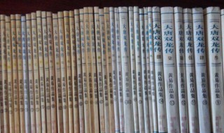 关于穿越到大唐双龙传的小说（穿越到大唐双龙传的小说在湖边醒来）