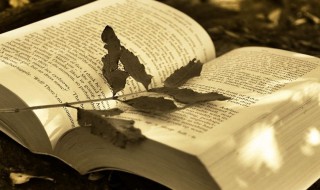 碧蓝航线名字精选（碧蓝航线角色名字和谐）