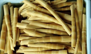 竹笋保存方法及温度 竹笋保存方法及温度多少