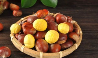 栗子相克的食物（栗子相克的食物表）