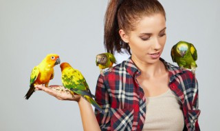 生活中有哪些是益鸟 生活中有哪些是益鸟?