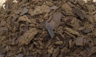 菜籽饼直接使用的方法 菜籽饼肥料的使用方法