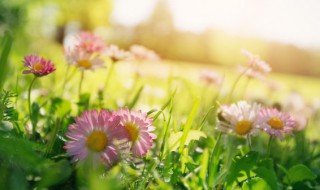 周一激励人心的句子（周一比较励志的一句话）