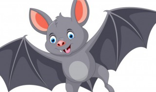 蝙蝠叫声是吱吱吱么 驱赶蝙蝠最有效的声波