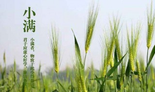 小满节气 小满节气的含义是什么
