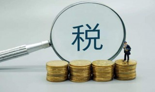 小规模纳税人增值税记在哪里 小规模纳税人增值税记在哪里查询