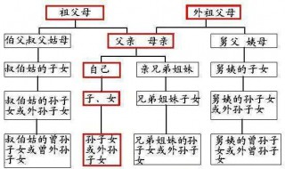 父亲的兄弟如何称呼（父亲的兄弟如何称呼我）