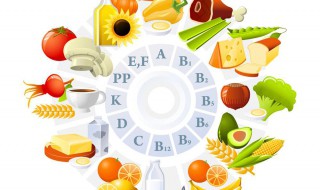 如何改善学生膳食营养 改善学生伙食