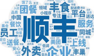 如何想加入顺风丰食平台 如何想加入顺风丰食平台工作