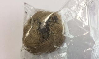 麝香的功效与作用 麝香的功效与作用的功能与主治
