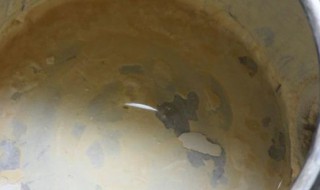 白醋去水垢的方法（小苏打白醋去水垢的方法）